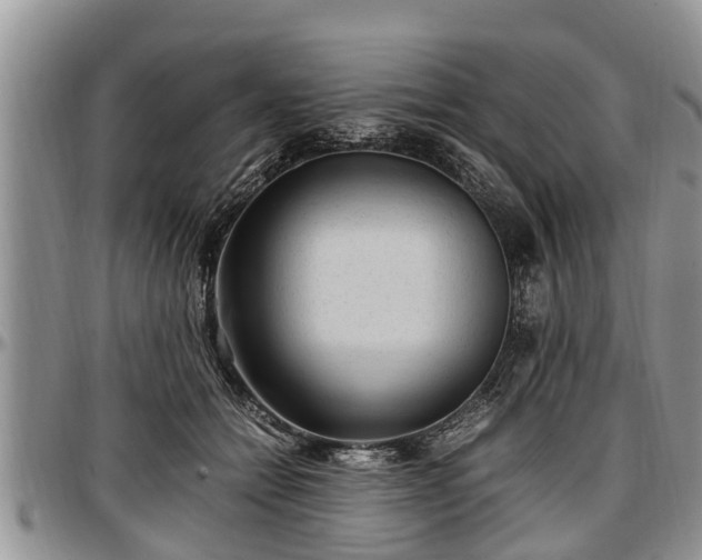 X0000097500558200802291600