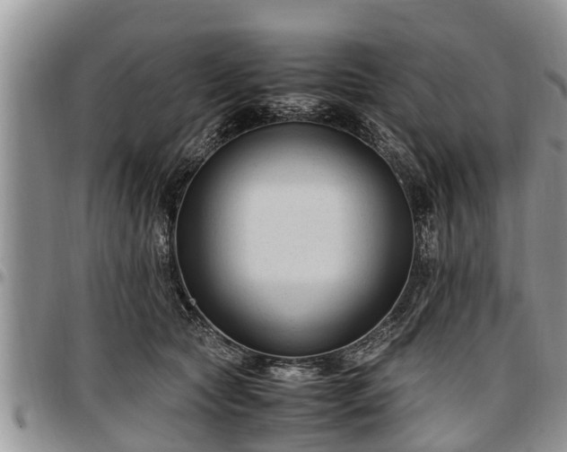 X0000097500561200802291600