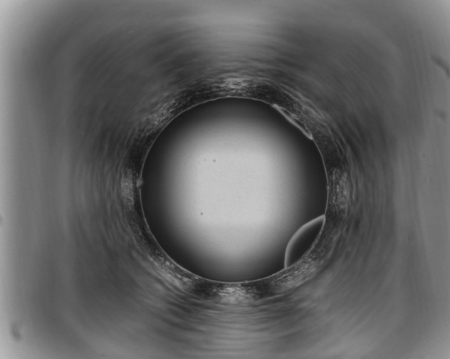 X0000097500562200802291600