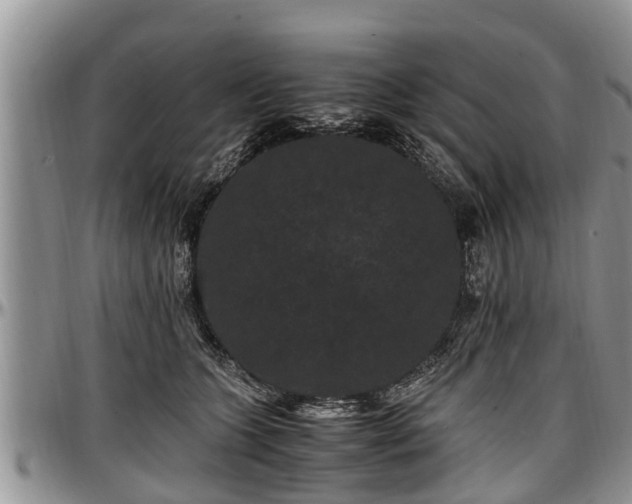 X0000097500563200802291600