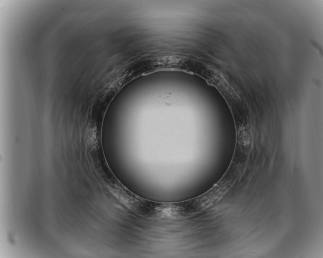X0000097500564200802291600