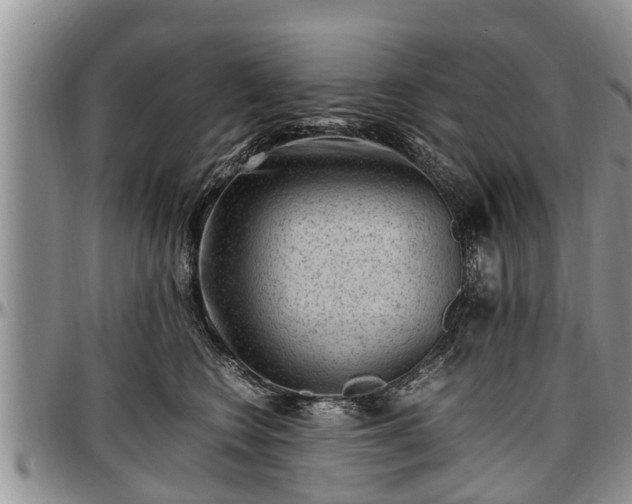 X0000097500566200802291600