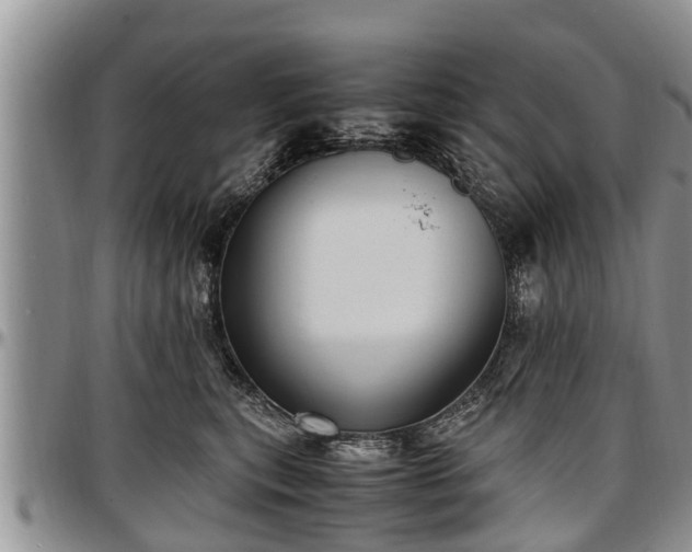 X0000097500567200802291600