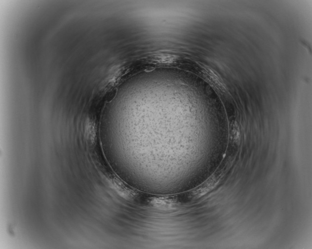 X0000097500568200802291600