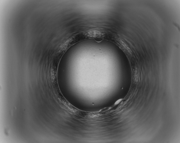 X0000097500569200802291600