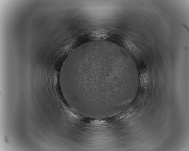 X0000097500570200802291600