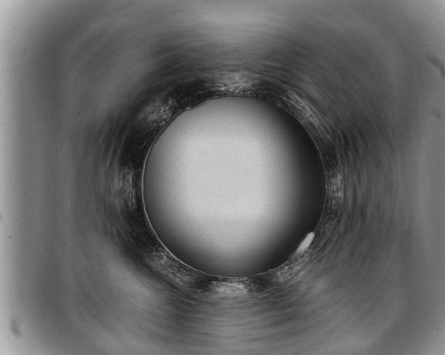 X0000097500572200802291600