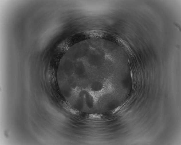 X0000097500573200802291600