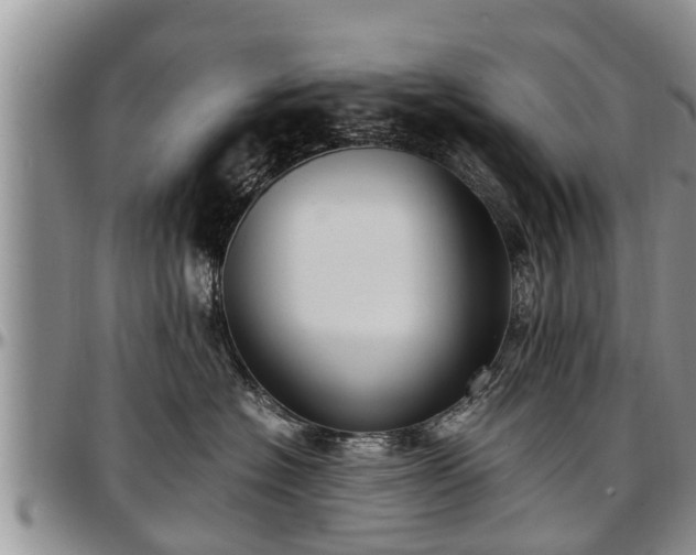 X0000097500574200802291600