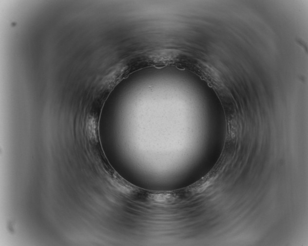 X0000097500575200802291600