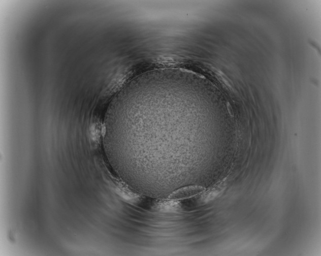 X0000097500576200802291600