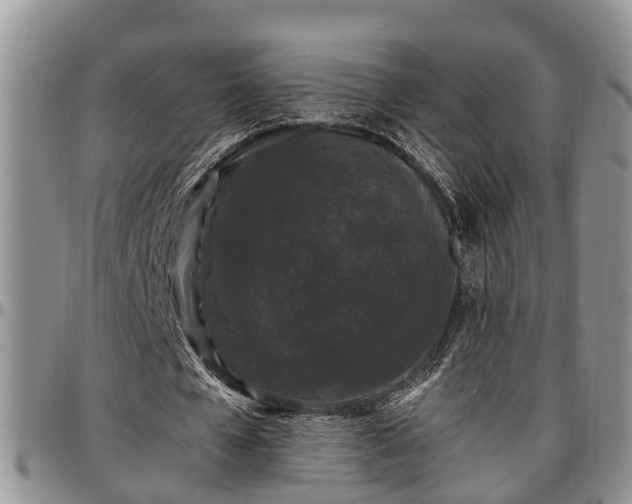 X0000097500577200802291600