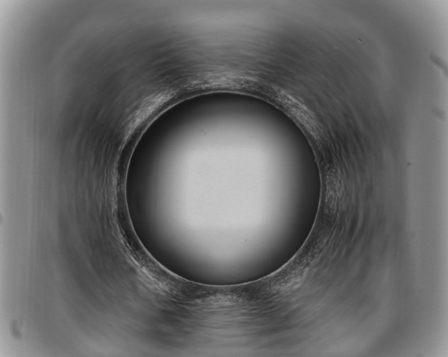 X0000097500578200802291600
