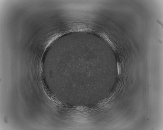 X0000097500579200802291600