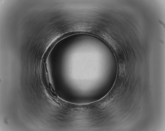X0000097500580200802291600