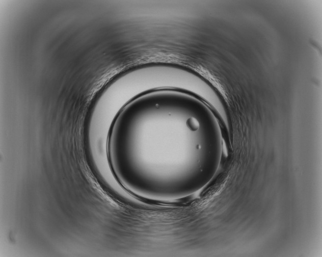 X0000097500581200802291600