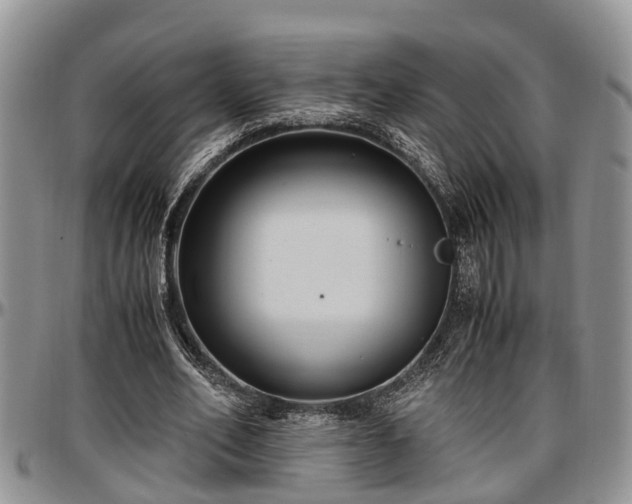 X0000097500582200802291600