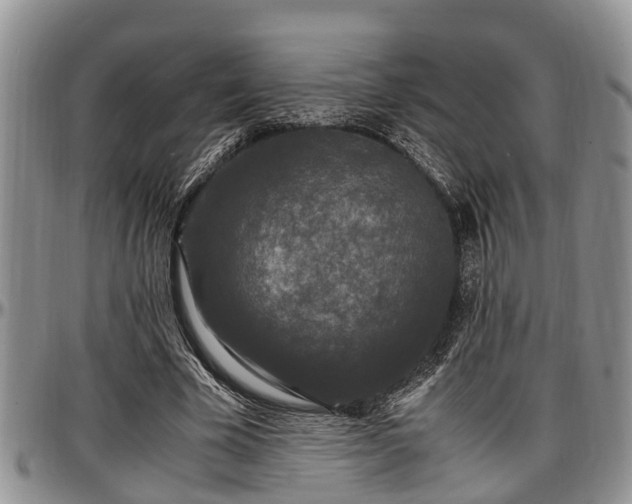X0000097500585200802291600