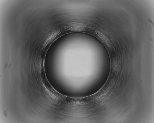 X0000097500586200802291559