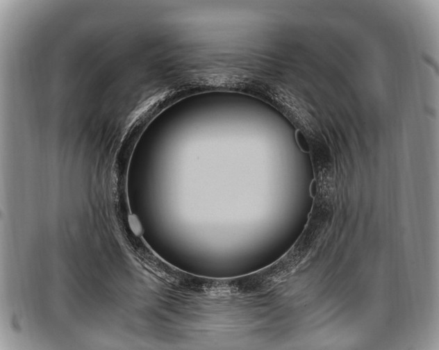 X0000097500587200802291559