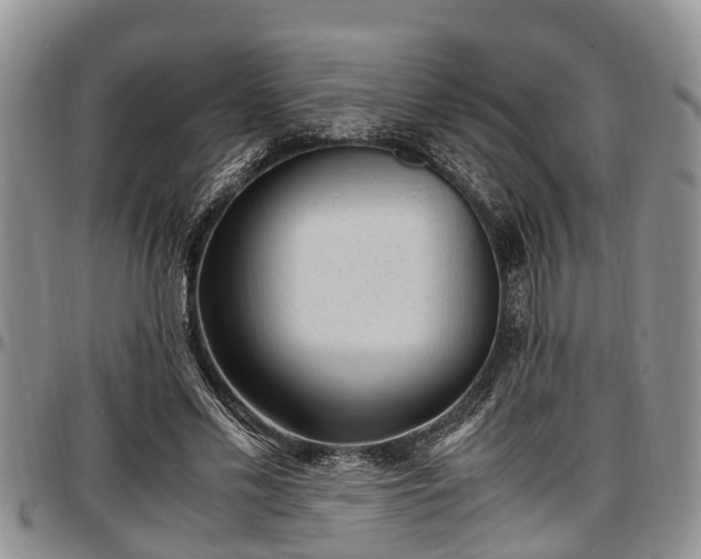 X0000097500589200802291559