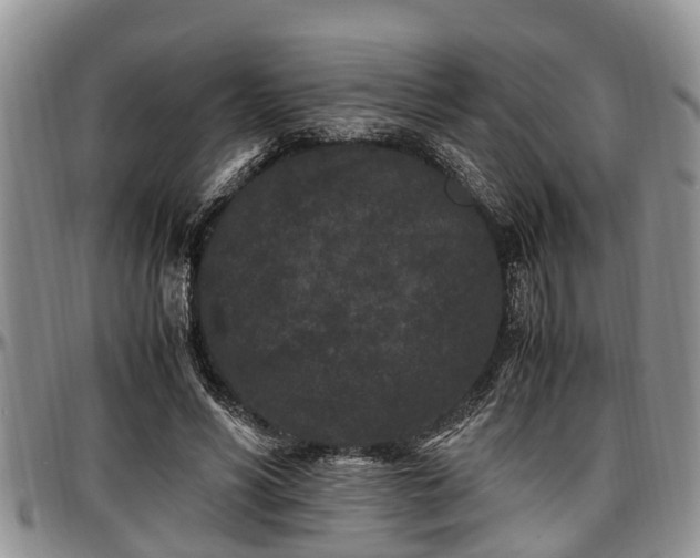 X0000097500590200802291559