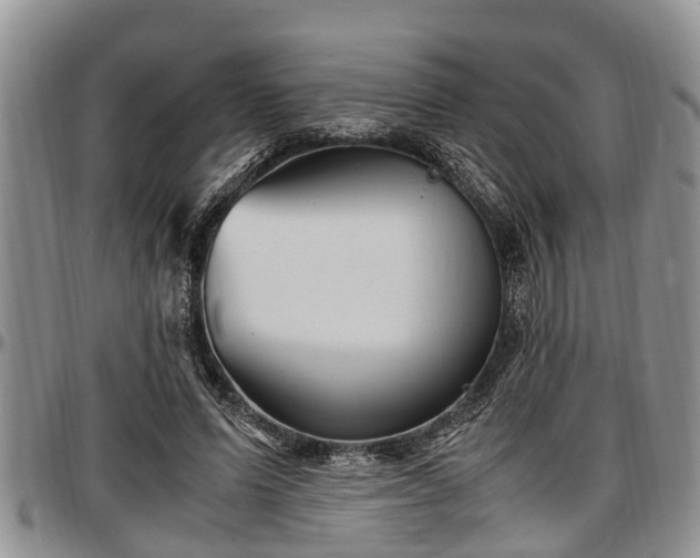 X0000097500591200802291559