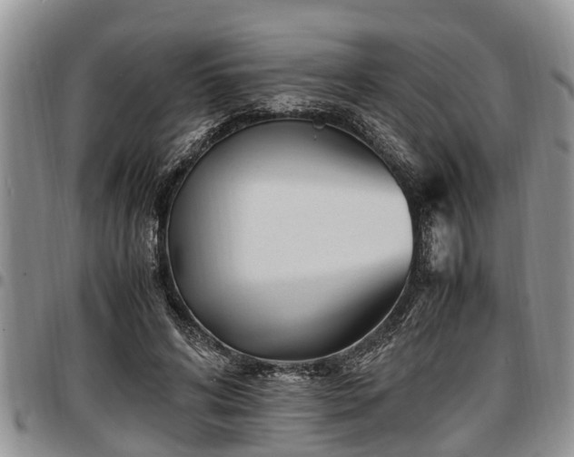 X0000097500592200802291559