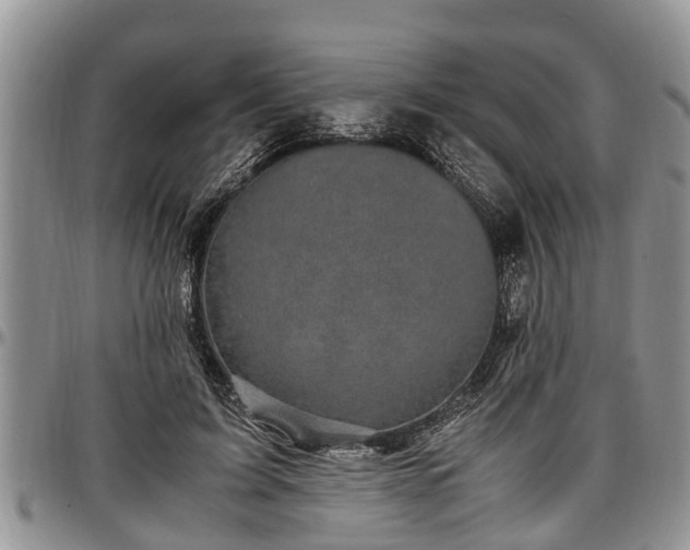 X0000097500595200802291559