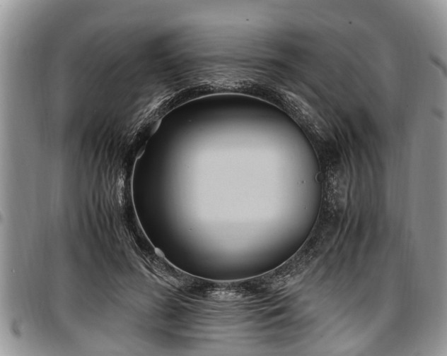 X0000097500596200802291559