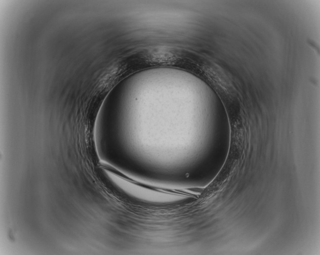 X0000097500597200802291559