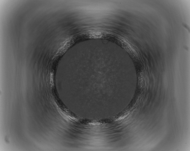 X0000097500598200802291559