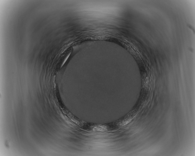 X0000097500599200802291559