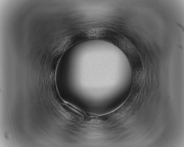 X0000097500601200802291559