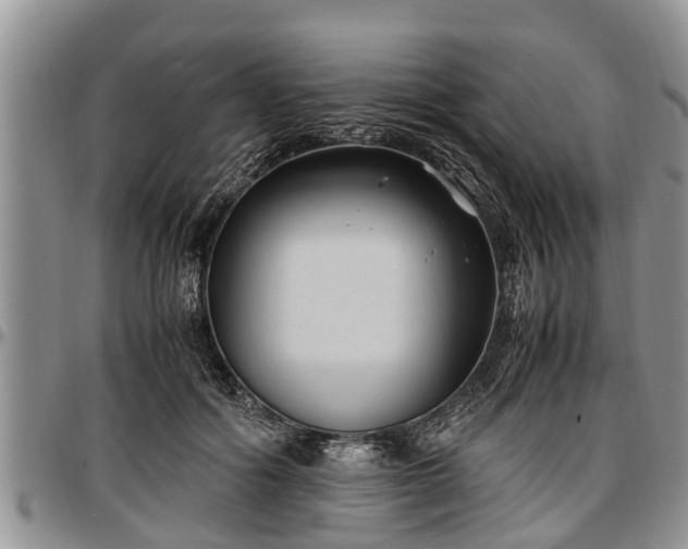 X0000097500602200802291559