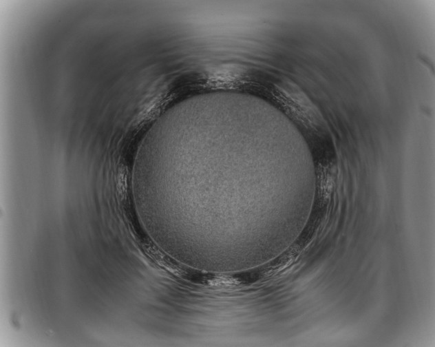 X0000097500603200802291559