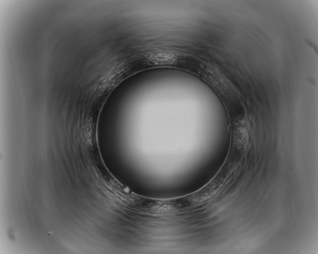 X0000097500604200802291559