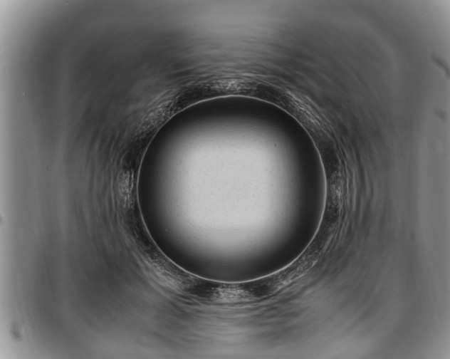 X0000097500605200802291559