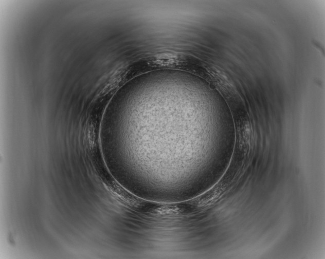 X0000097500606200802291559