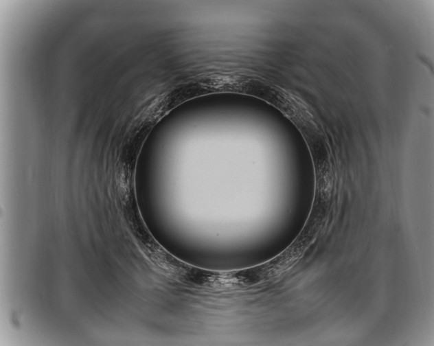 X0000097500607200802291559