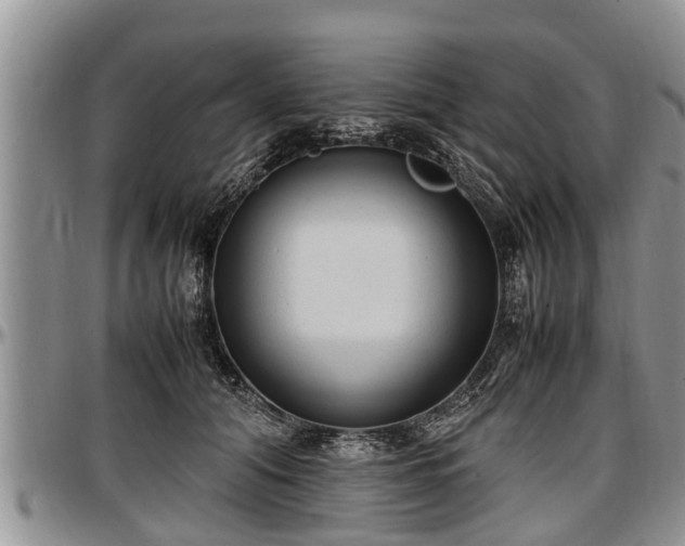 X0000097500608200802291559