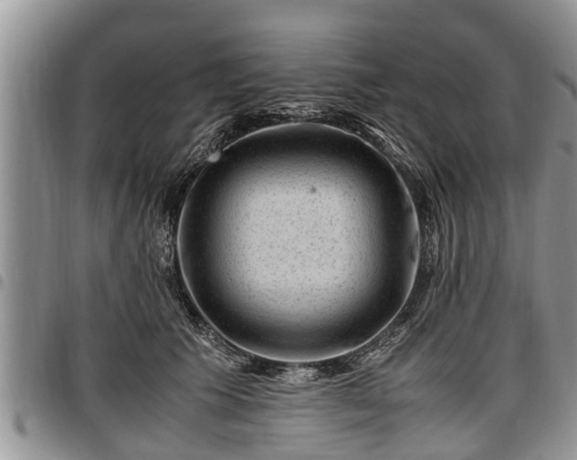 X0000097500609200802291559