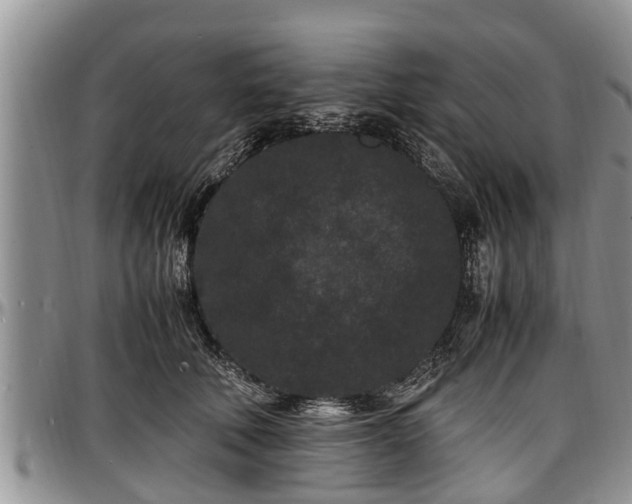 X0000097500610200802291559