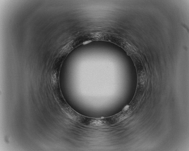 X0000097500611200802291559