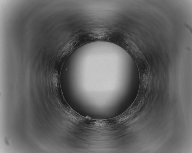 X0000097500612200802291559
