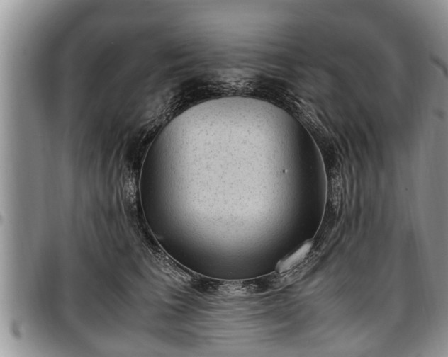 X0000097500613200802291559