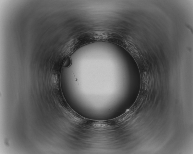 X0000097500614200802291559