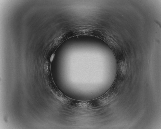 X0000097500615200802291559