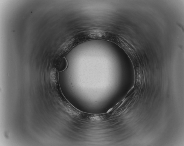 X0000097500616200802291559