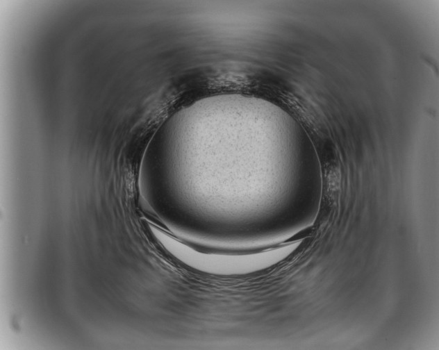 X0000097500617200802291559